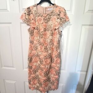 Women Dress, Calvin Klein, Lace, Peach & Cream Color, Size 8